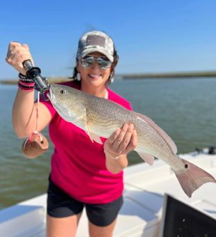 Galveston Waters Beckon You, Redfish