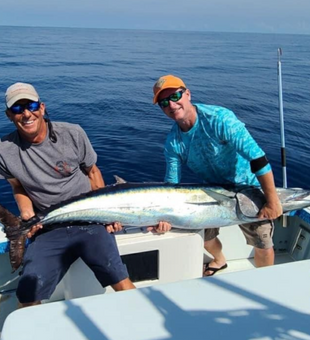 Catch the rhythm of the coast