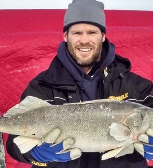 Walleye in Lake Erie