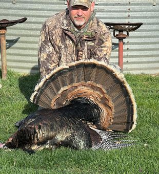 Nebraska turkey hunting — book now