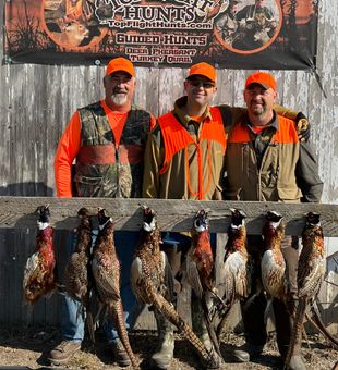Pheasant hunt Nebraska’s Elkhorn Valley