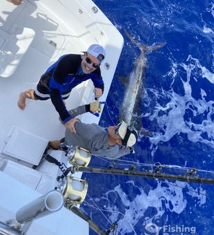 The sea is calling—answer it.