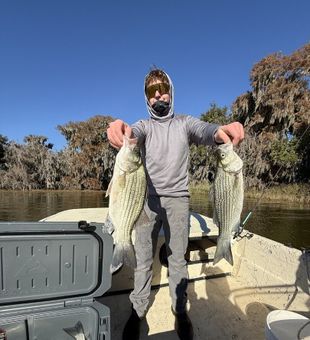 Quality striped bass double catch on river