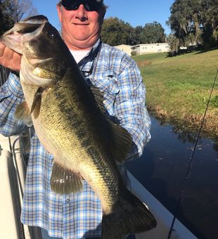 Aquatic Tour and Guide of Florida