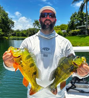 Solid double 