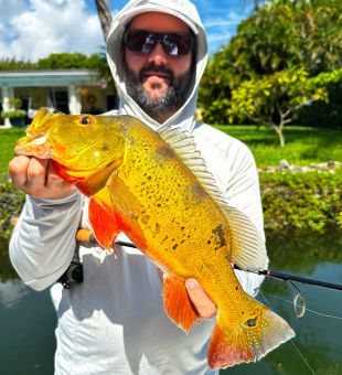 Catch of the day 