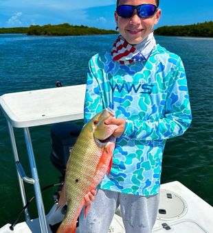 25” shallow water Mutton Snapper