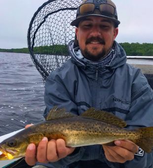 Backcountry Spotted Sea Trout