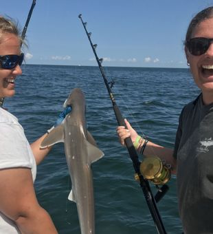 Exciting blacktip shark catch offshore.