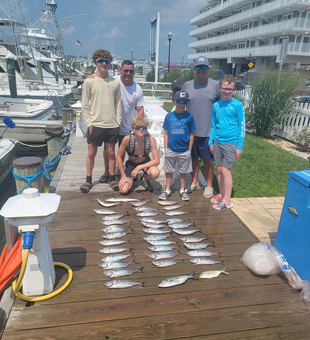 Sportfishing Ocean City MD Action