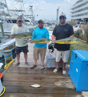 Mahi Mahi  Fishing in Ocean City