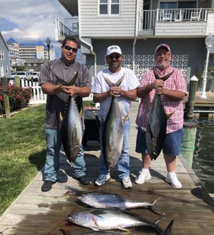 Tuna Triumph!
