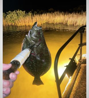 Corpus Christi's Finest Flounder
