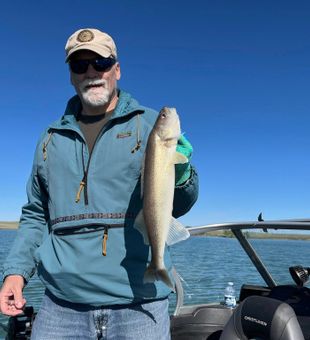 That classic walleye shimmer