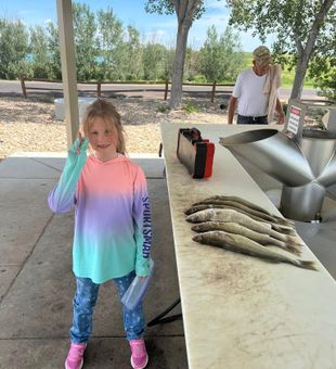 Cold water, hot walleye bite