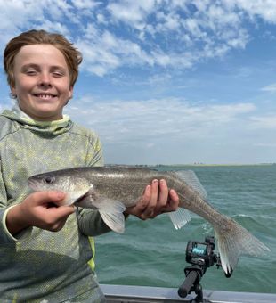 Eyes on the prize, walleye landed