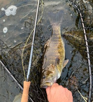Freshwater Fishing Charter in Wisconsin