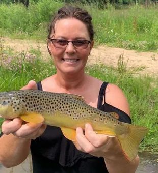 brown Trout in Wisconsin River