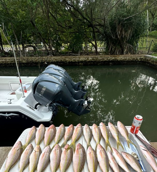 Biscayne Bay’s hottest fishing spots! 