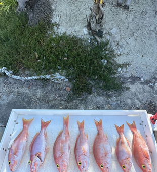 Family-friendly fishing fun! 