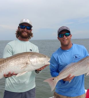 Redfish fishing in Tampa Bay