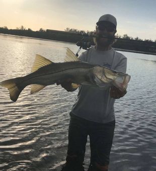 Florida Snook Fishing