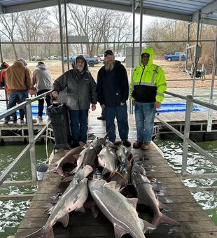 Discover the freshwater fishing opportunities waiting in Branson, Missouri, and make your next getaway one to remember.