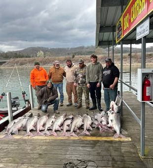 Trade the usual routine for a day on the lake, chasing bass and other freshwater favorites in the heart of the Ozarks.