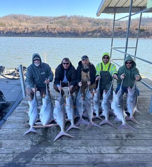 Epic paddlefish haul!