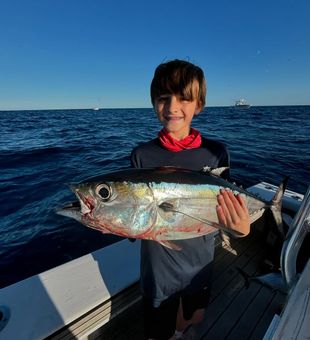 Tuna Season Success