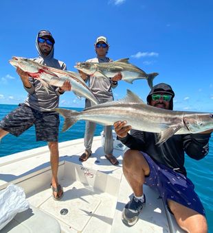 Miami waters, endless fishing adventures.