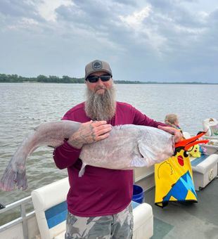 Monster catfish from North Bay Village waters!