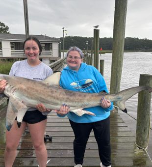 Powerful Myrtle Beach shark catch!