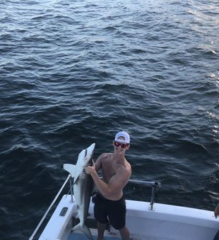Shark Day! - Calabash, SC.