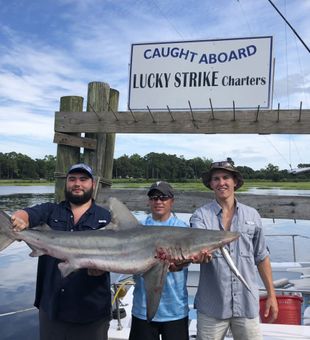 Black Tip haul! - Calabash, SC.