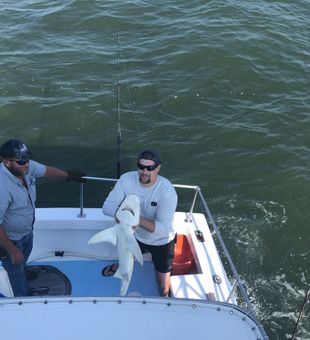 Another Shark Day! - Calabash, SC.