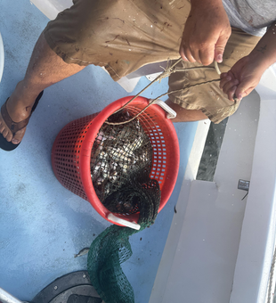 Clouds rolling in? Perfect time for some heavy tackle action in Calabash!