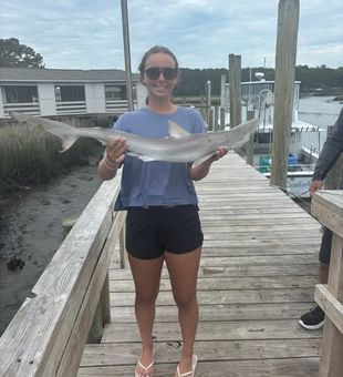 Shallow-water action, scenic marshes, and hard-fighting fish make every Myrtle Beach inshore fishing trip worth the ride.