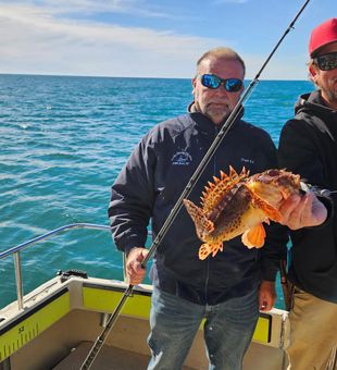 Best Myrtle Beach fishing spots for seasonal offshore runs