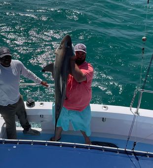 Impressive Myrtle Beach shark catch!