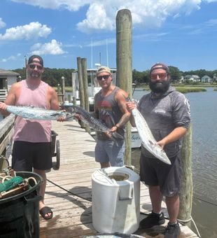 King Mackerel success in Calabash NC waters!