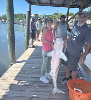 Myrtle Beach inshore fishing puts anglers right in the heart of some of the most productive coastal waters on the Carolina coast.