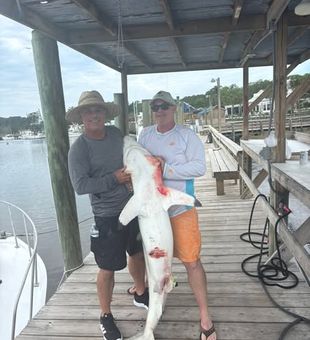 Explore the backwaters of Myrtle Beach while targeting redfish, flounder, and speckled trout with a local guide.