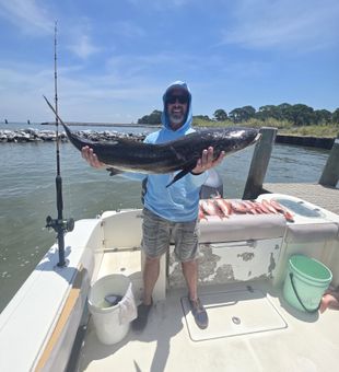 Gulf Shores cobia bringing the fight!