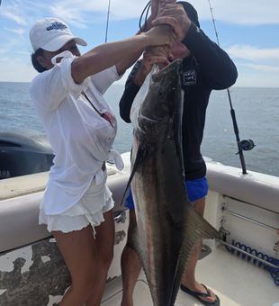 Gulf Shores cobia action on the water!