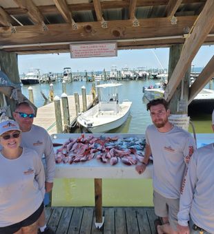Fresh catch ready for cleaning at Gulf Shores!