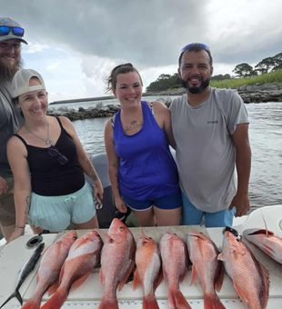 Outstanding Gulf Shores red snapper haul!