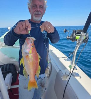 Hot bite on Gulf Shores waters