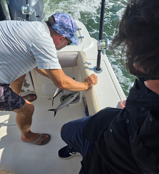 Reeling in the best Spanish Mackerel while trolling the Gulf!