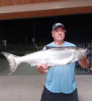 Massive Great Lakes Chinook salmon